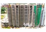  shree-homes Construction Status Dec-24