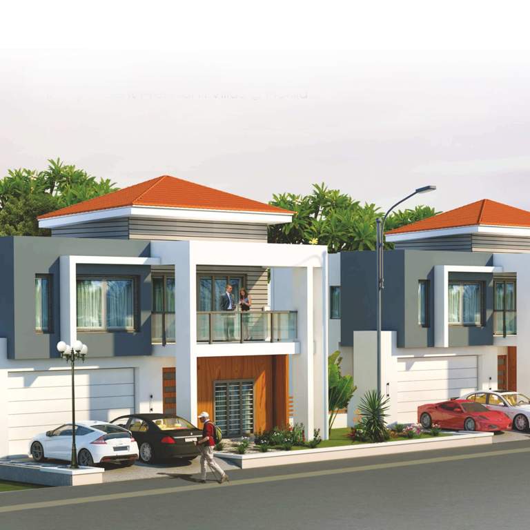  aavasa Elevation