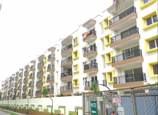 Elevation royal-meenakshi Elevation