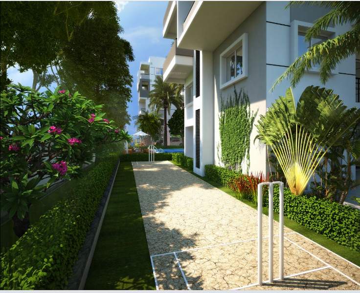  east breeze Cricket Pitch