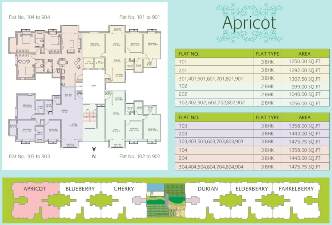 the orchard Apricot Typical Cluster Plan From 1st to 9th Floor