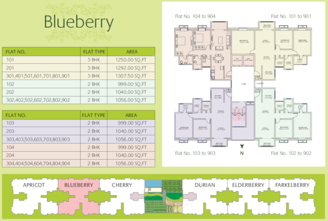  the orchard Blueberry Typical Cluster Plan From 1st to 9th Floor