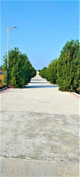  bhumi-green-hills Plot