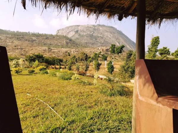 Images for mainOther