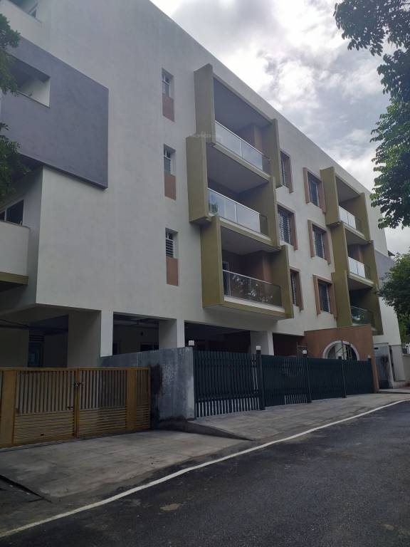  renaissance shanks sunnyside Elevation