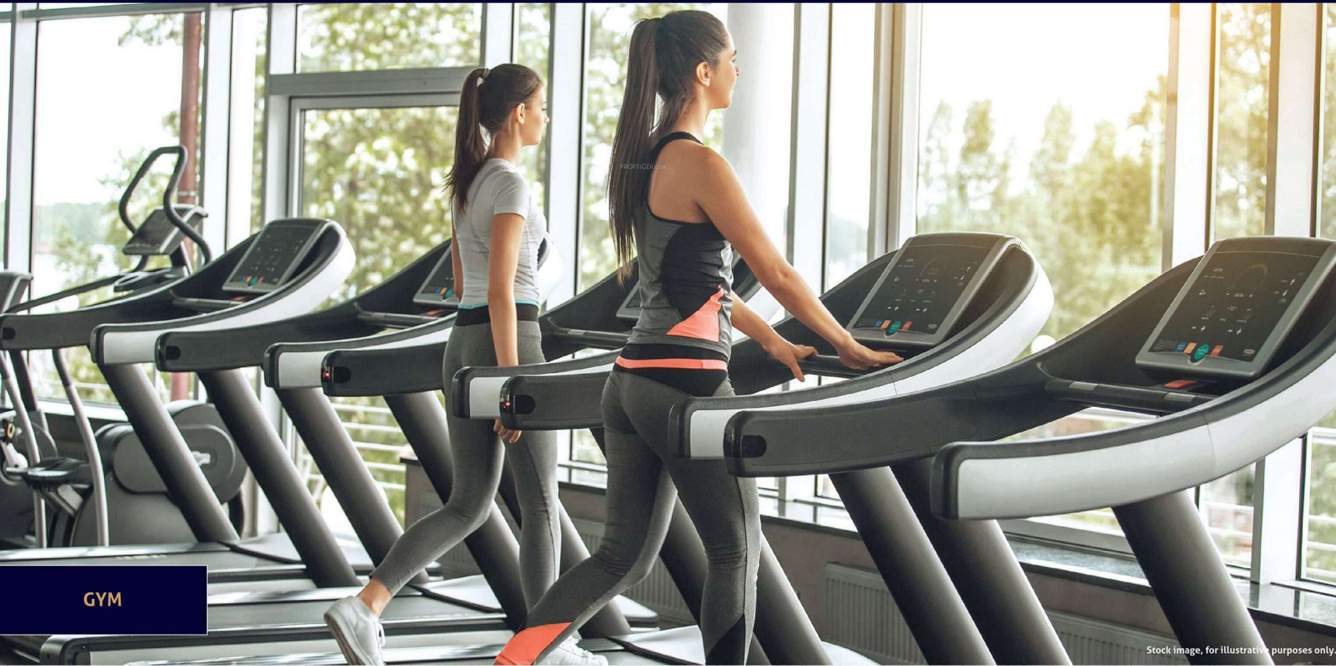  joyville gurugram ii Gymnasium