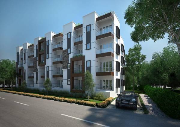  iris Images for Elevation of SSVR Iris