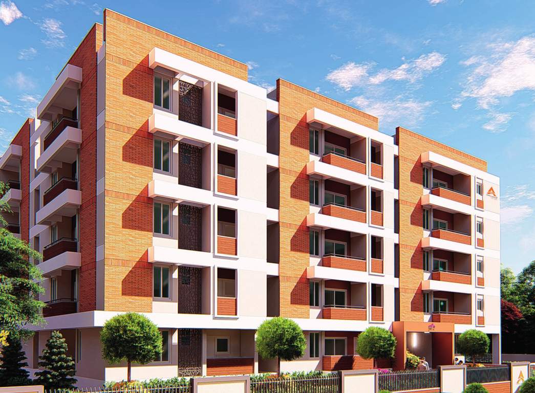  iris Images for Project