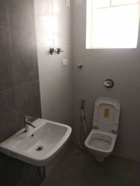 mainOther of Saroj IRIS