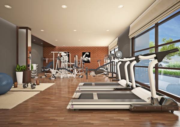  olive-residency Gymnasium