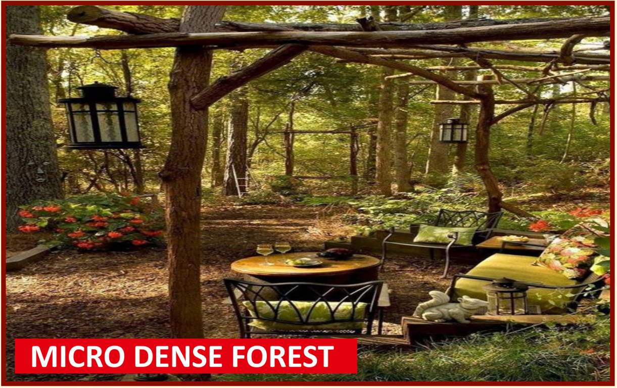  deepanjali chsl Others