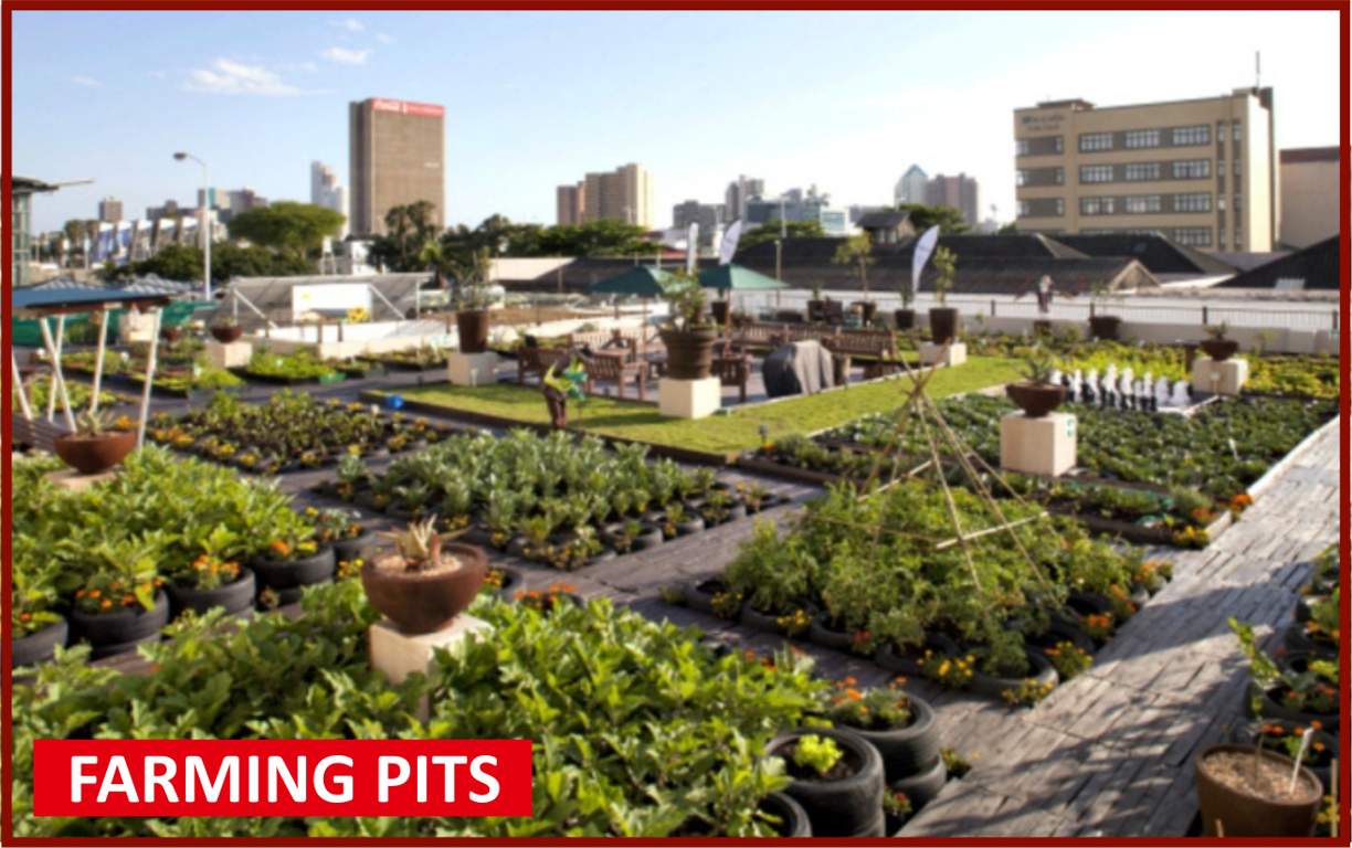  deepanjali chsl Others