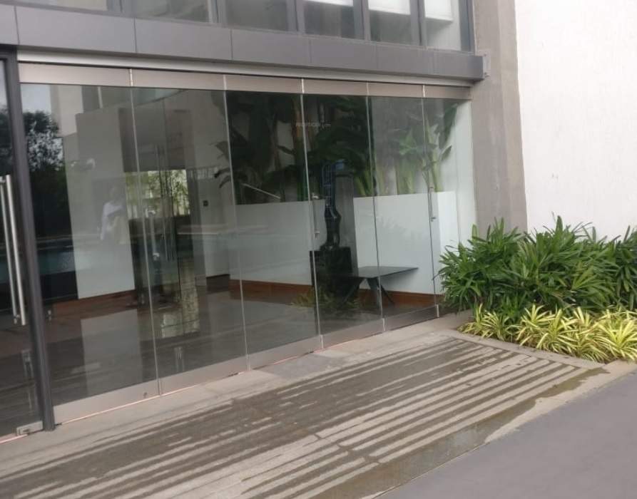  paramount wing f Others