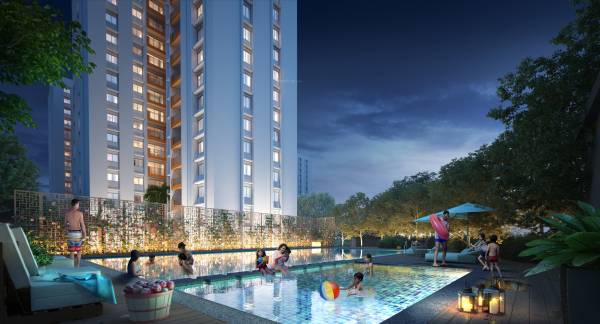 Swimming Pool aqua Swimming Pool