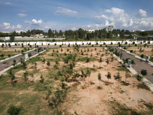  the-woods-of-east-phase-3 Elevation