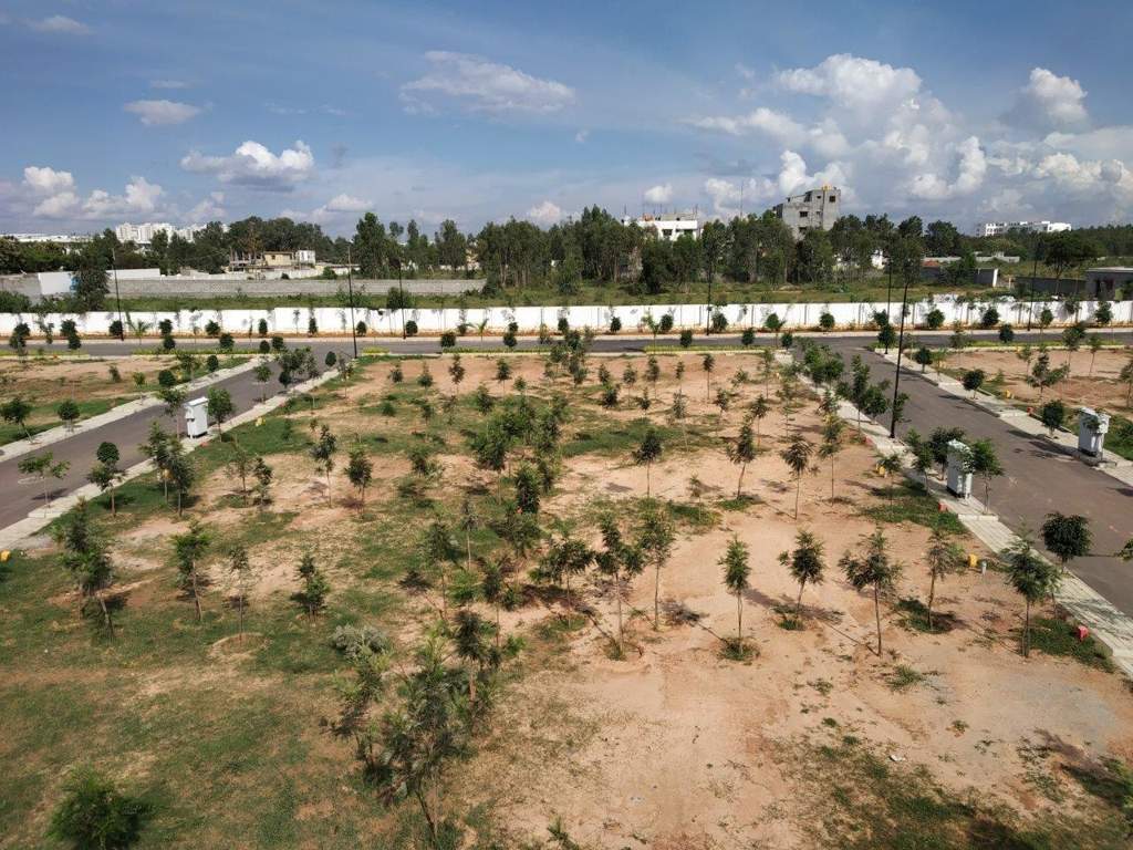  the woods of east phase 3 Elevation