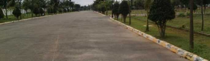  the woods of east phase 3 Plot