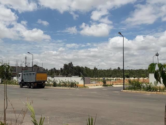  the woods of east phase 3 Plot