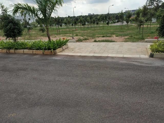  the woods of east phase 3 Plot