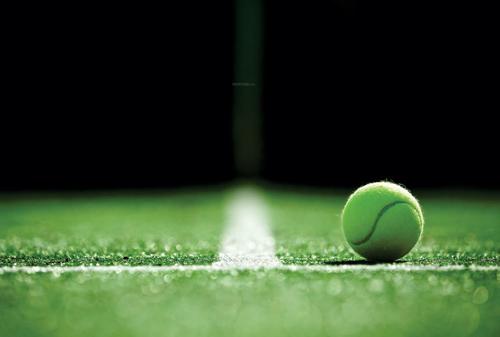 Tennis Court green-lotus-utsav Tennis Court