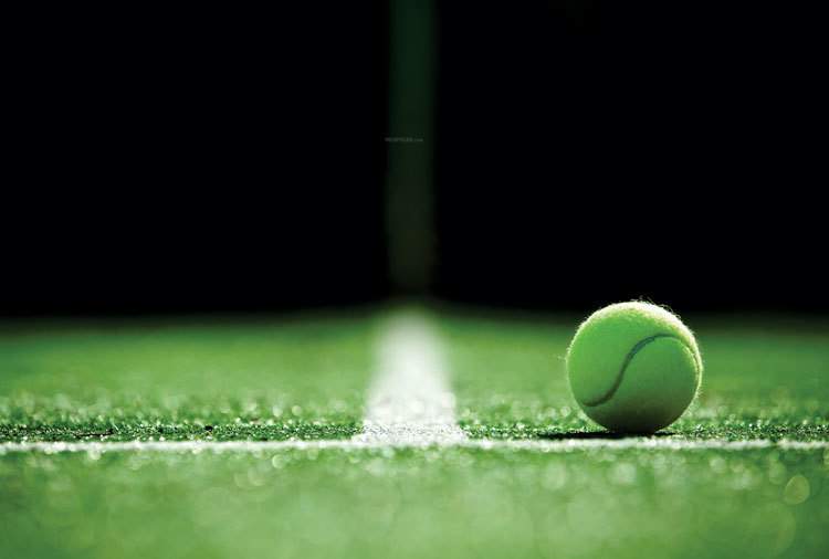 green lotus utsav Tennis Court