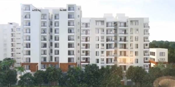 Elevation palm-heights Elevation