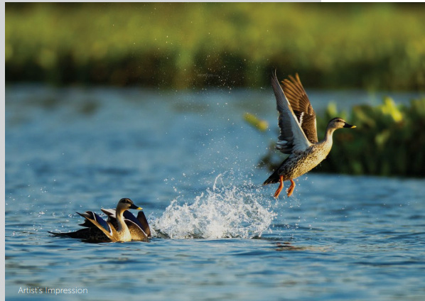  solitaire-homes-pashan Others