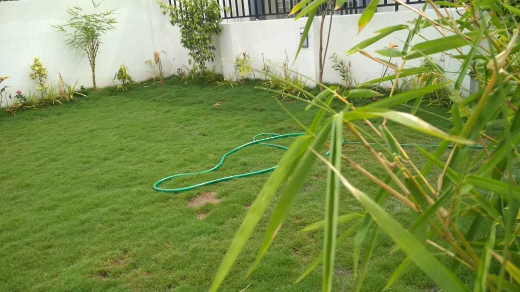 Images for amenities