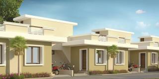 Project Image Project Image