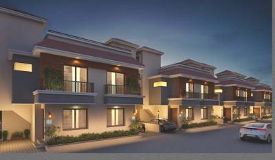 Internal Roads exotica Internal Roads