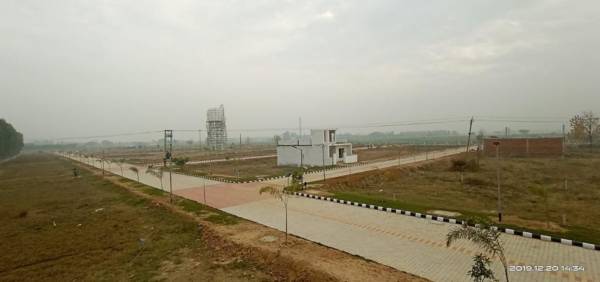  mascot-city Elevation