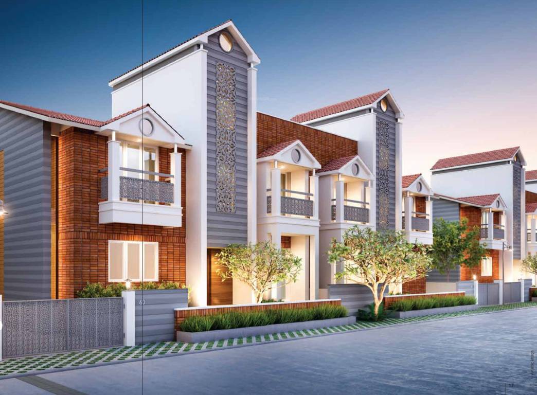 meadows phase 2 Elevation