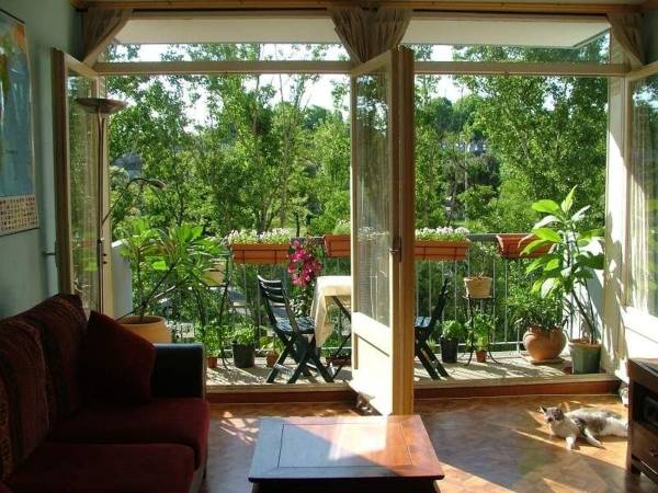 Images for Main Other of Elite The Elite Spire Images for Main Other of Elite The Elite Spire