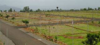 Project Image Project Image