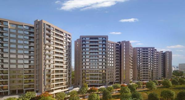  amorapolis-c-wing Elevation