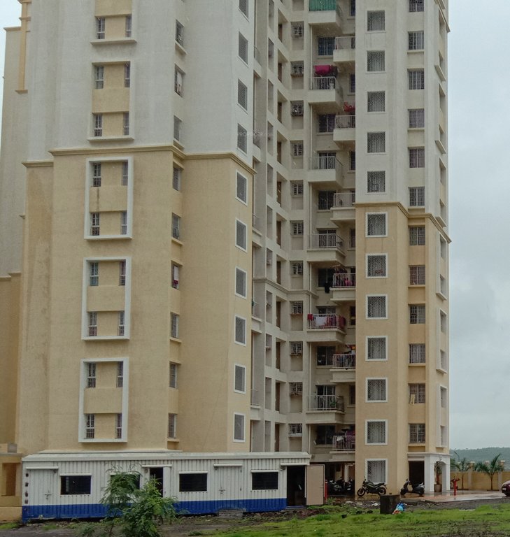  crown c1 Images for Project