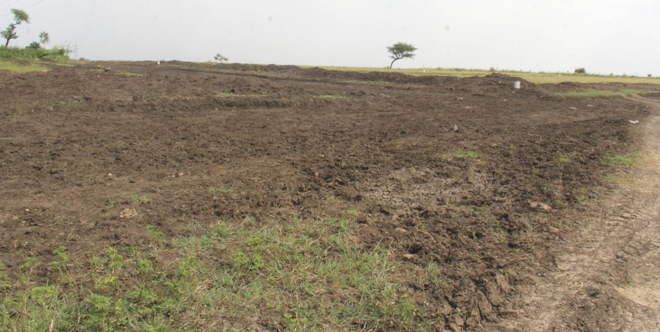 Images for Elevation of Saakar Hills And Resorts