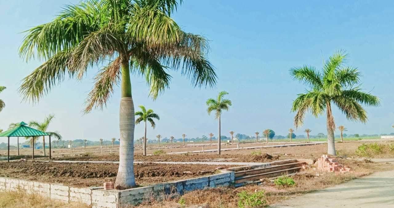 orchid park Plot