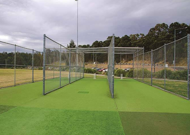  canary Cricket Pitch