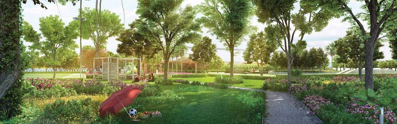  canary Landscape Garden and Tree Planting