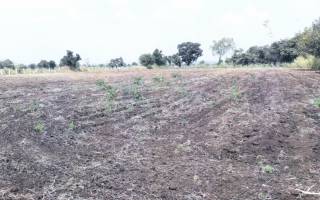 Project Image Project Image