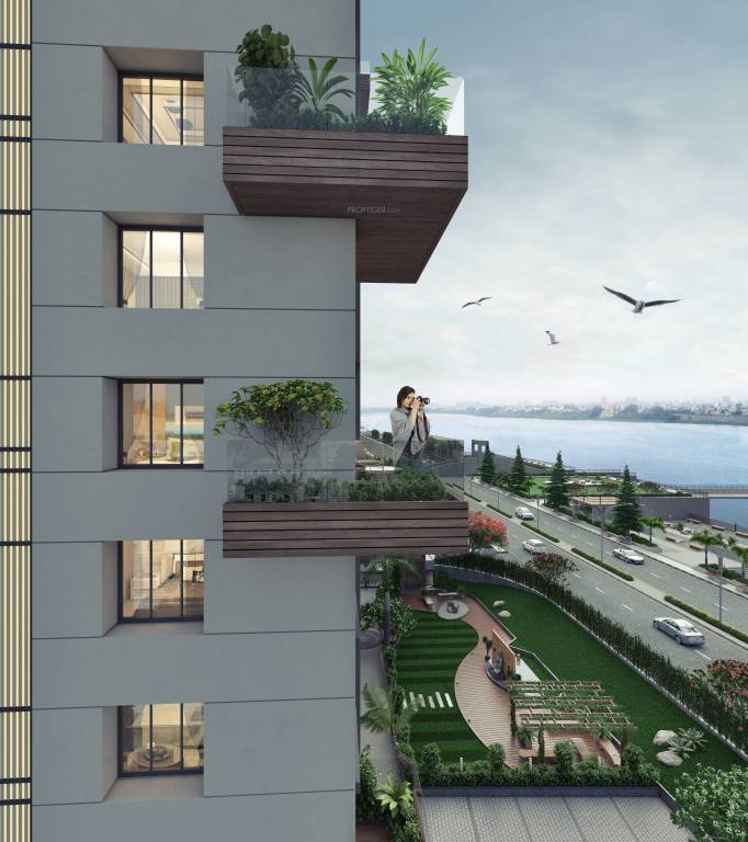  shaligram kinaro Others