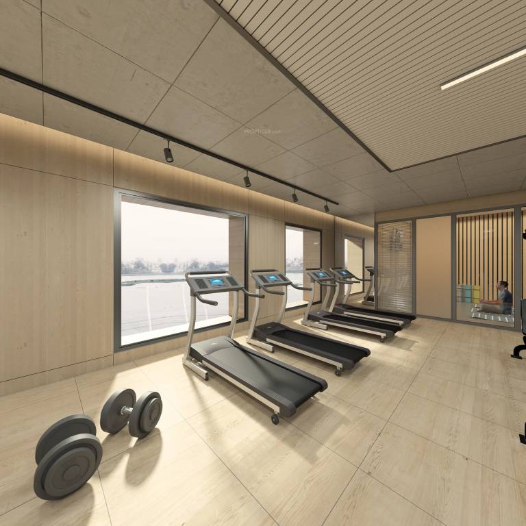  shaligram kinaro Others