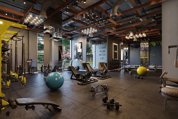 Gymnasium vedanta Gymnasium