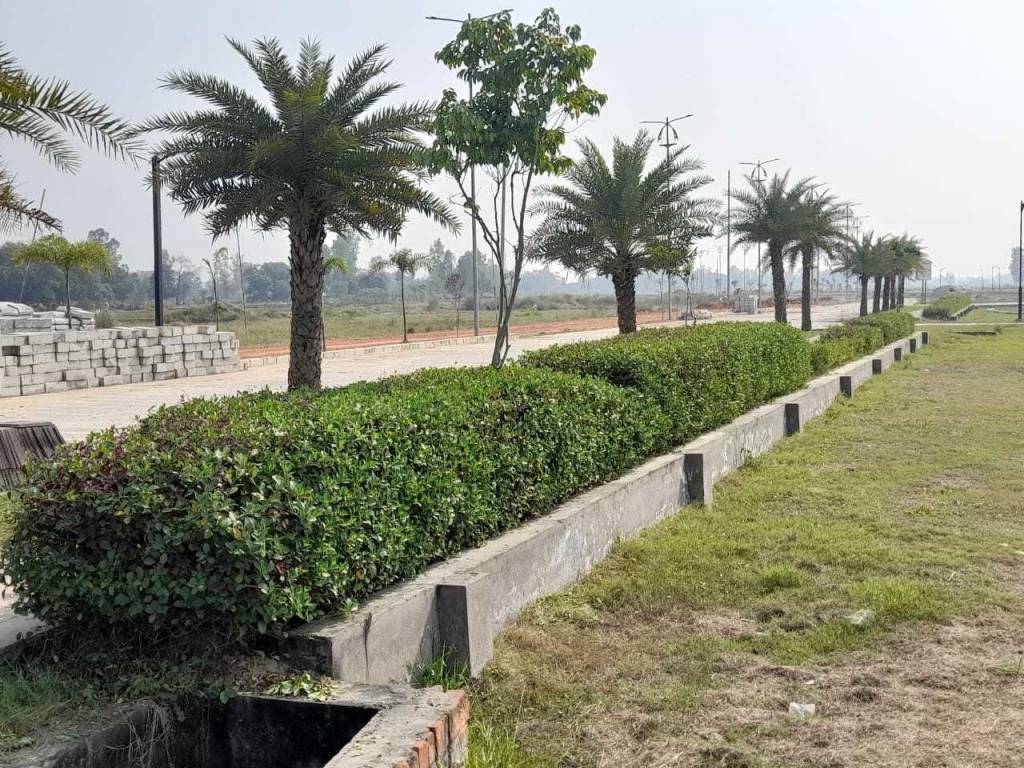  signature park sector 1 Plot