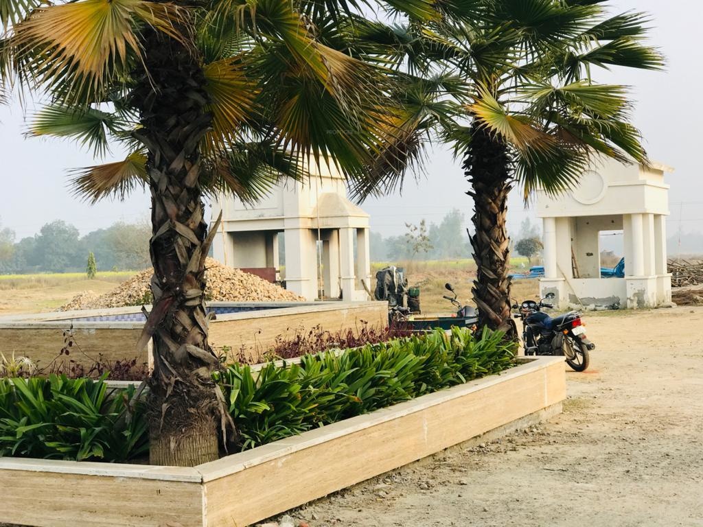  signature park sector 1 Plot