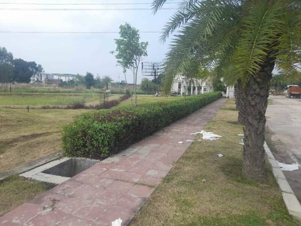  signature-park-sector-1 Plot