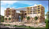 Kayji Palladium