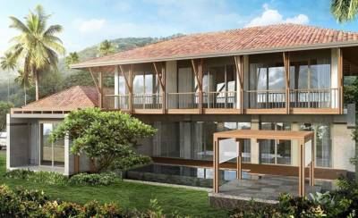 Images for Elevation of Sun Solidago Phase I