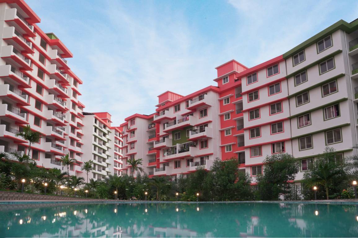  prabhu s violetta Elevation